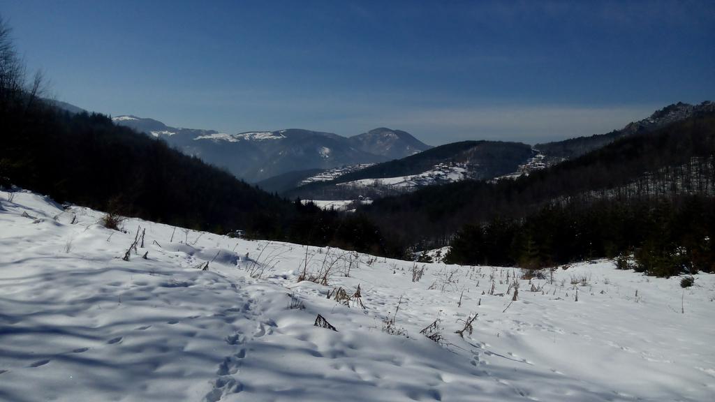 Semana Guesthouse Vrata Kültér fotó