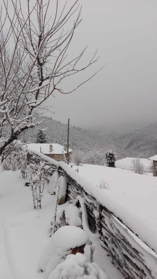 Semana Guesthouse Vrata Kültér fotó